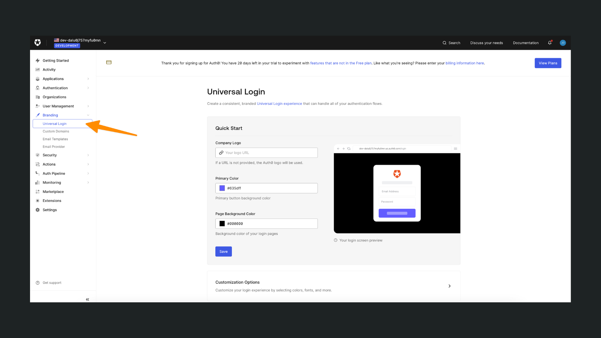 Auth0 branding customization