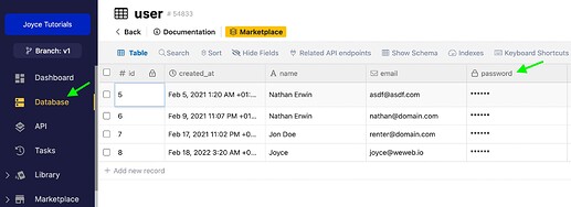 Password field in Xano