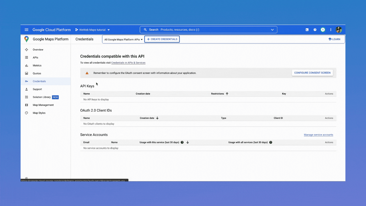 Getting Google maps API key