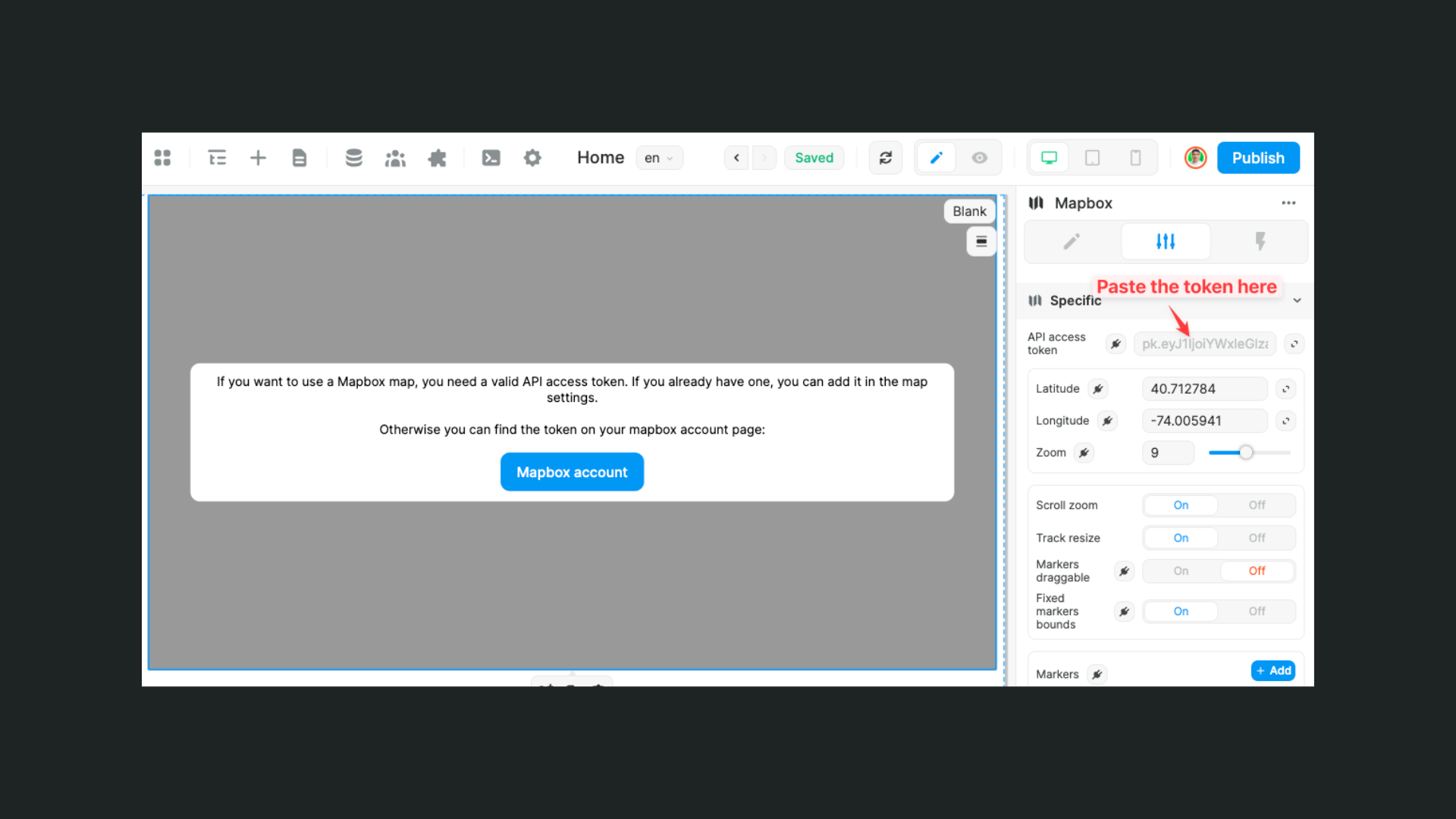 Mapbox element settings